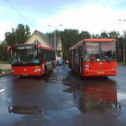 Автобус красное орехово зуево. 50 Автобус Тамбов. Красный автобус Желнино. Тамбовский автобус красный. Красный автобус Ангарск.