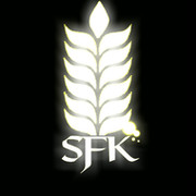 SFK группа в Моем Мире.