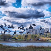 Волгодонск.Водный туризм. группа в Моем Мире.