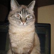 Лариса Михайлицына on My World.
