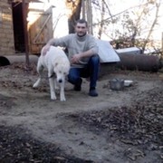 Максим Сидоренко on My World.