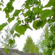 Александр Переверзев on My World.
