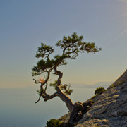 Алексей Анатольевич on My World.