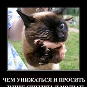 Андрей Зарипов on My World.
