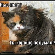 Ирина Водзинская on My World.