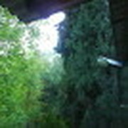 яков антонович on My World.