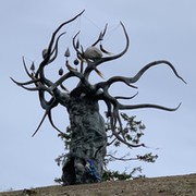 Константин Чучадеев on My World.