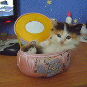 Людмила Улаева on My World.