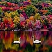 Ольга П on My World.