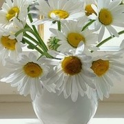 Айшат Экажева on My World.