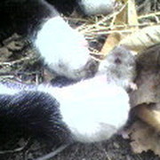 ЛЮБА sidoruk on My World.