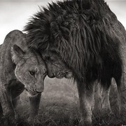 Наталья С---а on My World.