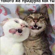 Марс Халиуллин on My World.
