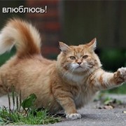 Б Р О Д Я Г А on My World.