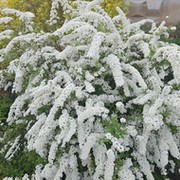 Наталья Новикова on My World.