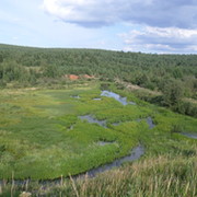 Илья Сергеев on My World.