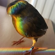 Олег Шашков on My World.