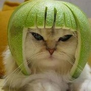 ковалев сергей on My World.