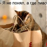 Вадим Дементьев on My World.