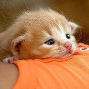 Анна Анна on My World.