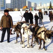 Владимир Геков on My World.