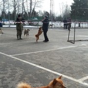 владимир колобов on My World.